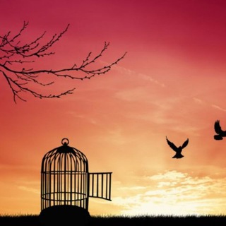 ® Ты свободен! ✨