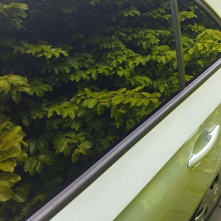 Поиск попутчиков и водителей