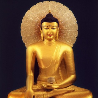 Тушита - Чат