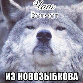 Типичный Новозыбков Chat