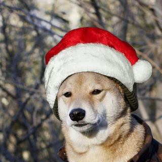 🎄Underdog🎅Flava🪅Chat🎩