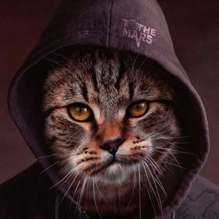 🌑 Утушкин Владислав 🌕