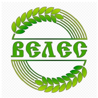 ЖК Велес 🏡 Оценка & Приёмка Квартир | САФЕТИ