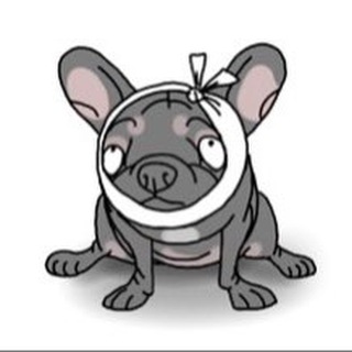 Ветеринарная клиника 10 Жизней