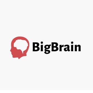 BigBrain group