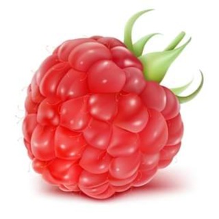 Вологодская малина