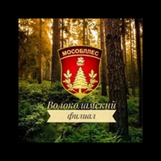 Волоколамское лесничество