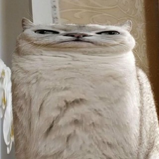 Выпуклый чат