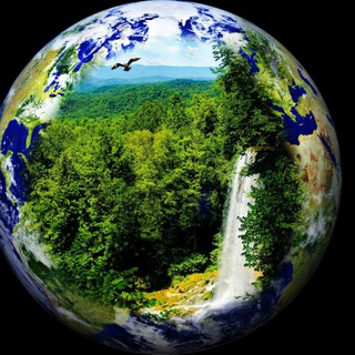 🍀🌷 Живая Терра 🌻🌳