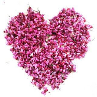 Взаимные подписки 🍀 реакции 👍