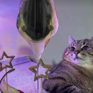 ПИАР ЧАТ/ РОЛОК БЕЗ ПРАВИЛ