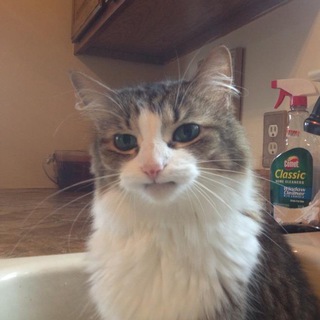 want2speak.ru Teamspeak 3