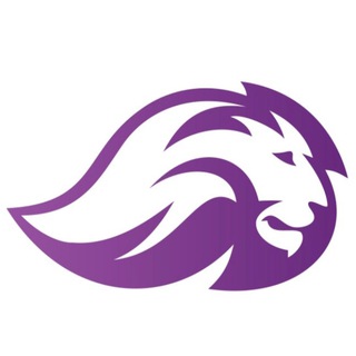 Wildberries чат поставщиков (WB Partners)