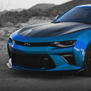 WORDLEX - авто за 50% 🚗