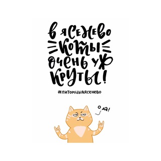 Питомцы в Ясенево