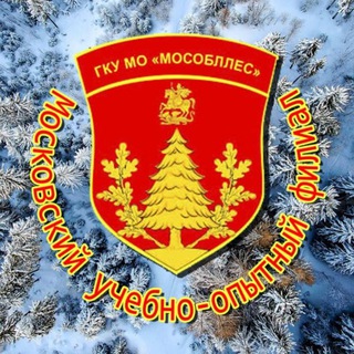 Московское учебно-опытное лесничество