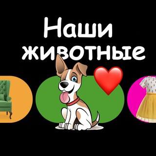 Наши ЖИВОТНЫЕ 🐥 | Загорянка, Королёв, Щёлково