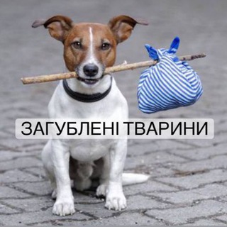 Загублені тварини