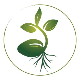 Выход есть всегда!