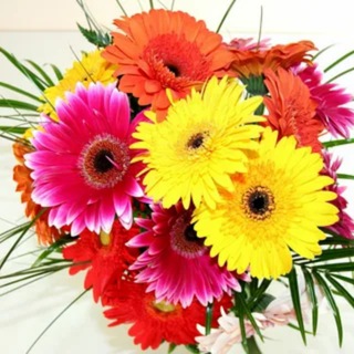 Здоровье VIP Успех