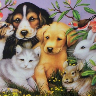 Животноводы ЖК Саларьево парк