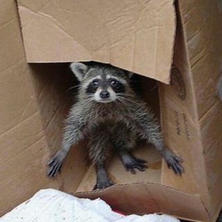 ЖК Самолёт ✈️