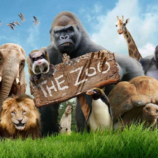 Zoo