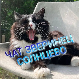 Зверинец Солнцево чат