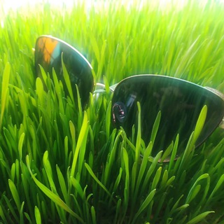 Витграсс полезное питание анапа😁