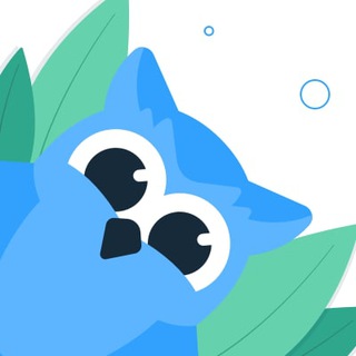 Совиний чат | Netpeak Software