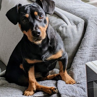 Особаченные города К.