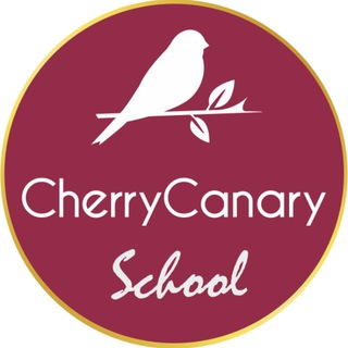 Чат поддержки учеников и клиентов