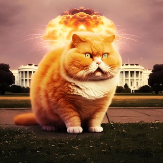 Годяй Годяевич Chat