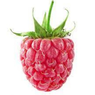 USB (united salesmen of Boxberry)