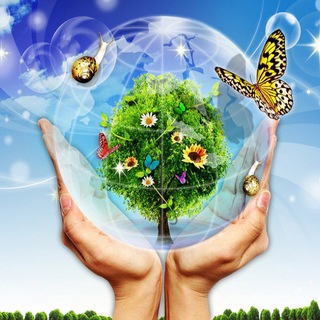 Эко Жизнь GW от Ирины