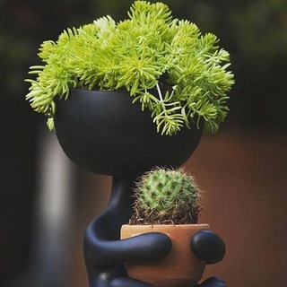 🌵Осторожно! Тут фанаты растений! 🌿