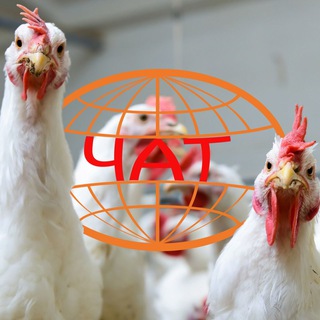 Чат НПК Фарминдустрия (птицеводство)