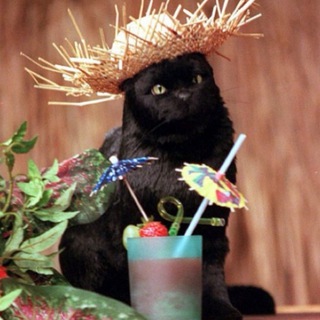 Ковёр-самолет