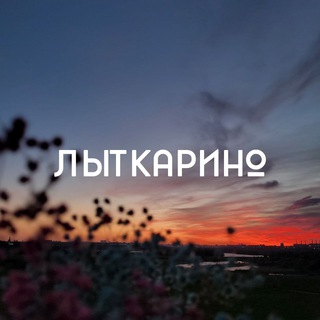 О ГОРОДЕ ЛЫТКАРИНО