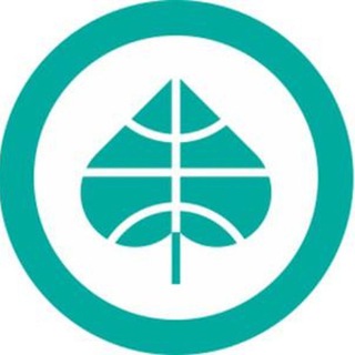 ЖЕНСКАЯ ПЛАНЕТА ЗДОРОВЬЯ