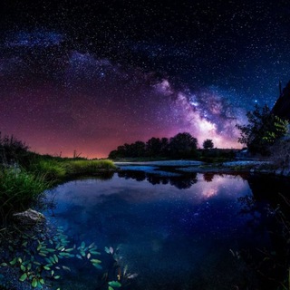 Профисиональный чат