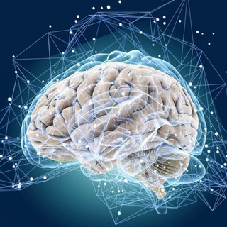 Метафизика мозга