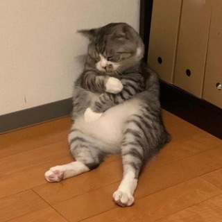 Выхинская критика французской мысли Chat