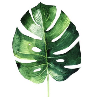 Зелёный мир ЖК Люберецкий