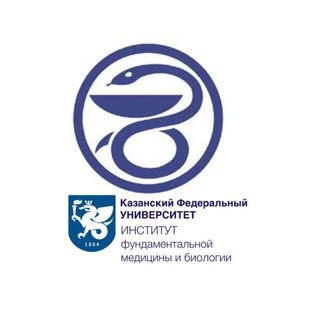 (Нейро) Анатомия • Ифмиб