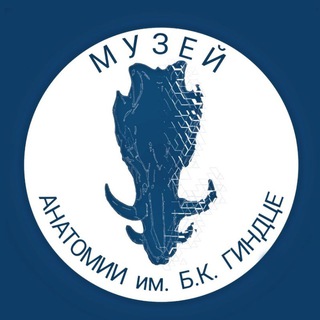 Anatomy_muz 💀 Музей анатомии