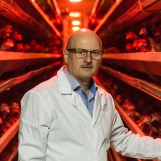 Андрей Биль