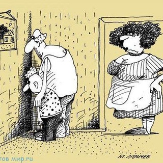 Анекдоты на каждый день