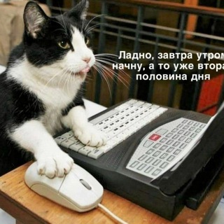 АНЕКДОТЫ | ЮМОР | МЕМЫ