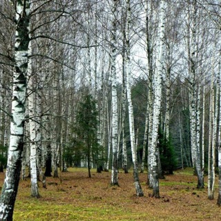 Тер.отдел Малино-Леонтьево